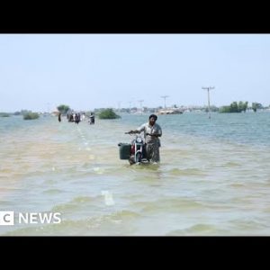 Pakistan floods: UN disorders urgent appeal over ‘public health emergency’ – BBC Facts