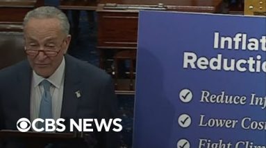 Senate passes Democrats’ local climate, health and tax bill