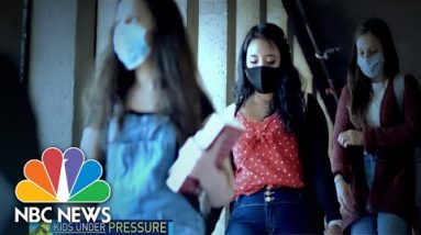 College College students Battle With Psychological Health Amid the Pandemic | NBC Nightly Recordsdata
