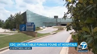 Untreatable ‘superbug’ fungus has spread in 2 US cities, health officials state | ABC7
