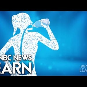 Obtain Healthy: Hydration | NBC Info Learn