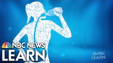Obtain Healthy: Hydration | NBC Info Learn
