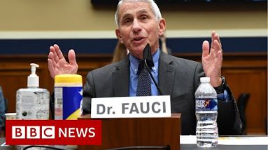 Top US health top-notch Fauci warns of ‘traumatic’ new US surge – BBC Info