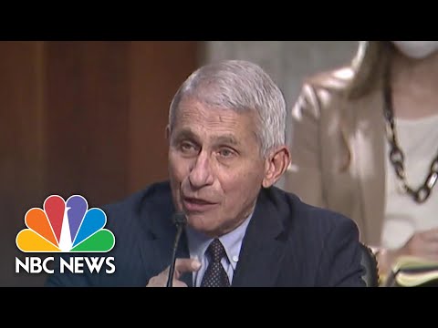 Highlights: High Well being Officials Testify On Reopening Amid Pandemic | NBC News NOW