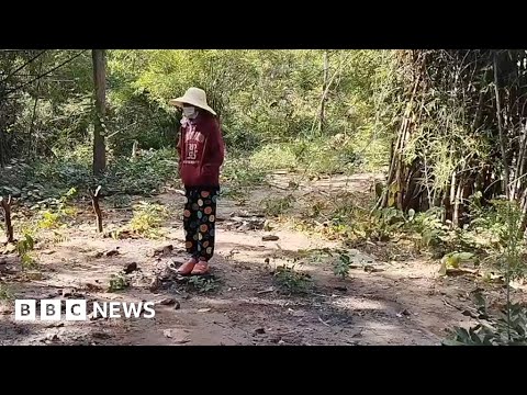 How healthcare crew are offering a lifeline carrier in Myanmar – BBC Info