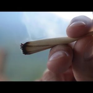 Smoking weed also can very successfully be more unhealthy to lungs than cigarettes – understand