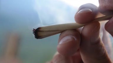 Smoking weed also can very successfully be more unhealthy to lungs than cigarettes – understand
