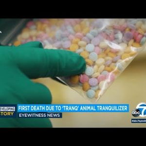 First Bay Establish dying reported from toll road drug Tranq, intended to be used as animal sedative
