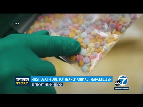 First Bay Establish dying reported from toll road drug Tranq, intended to be used as animal sedative