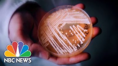 CDC warns unhealthy fungus an infection poses nationwide chance