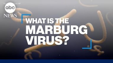 What’s the Marburg virus illness?
