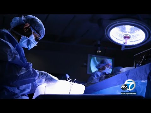 Scientists on brink of leap forward: rising artificial kidneys I ABC7