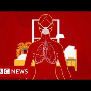 Coronavirus: How long does it salvage to decide on up better? – BBC Data