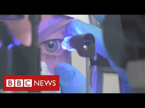 Radical new gene remedy restores behold to patients with rare perceive condition – BBC Files