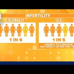 World Health Organization: Roughly 1 in 5 People fight with infertility | ABCNL